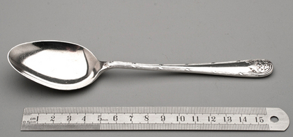 Private Die King Protea Pattern Silver Spoon